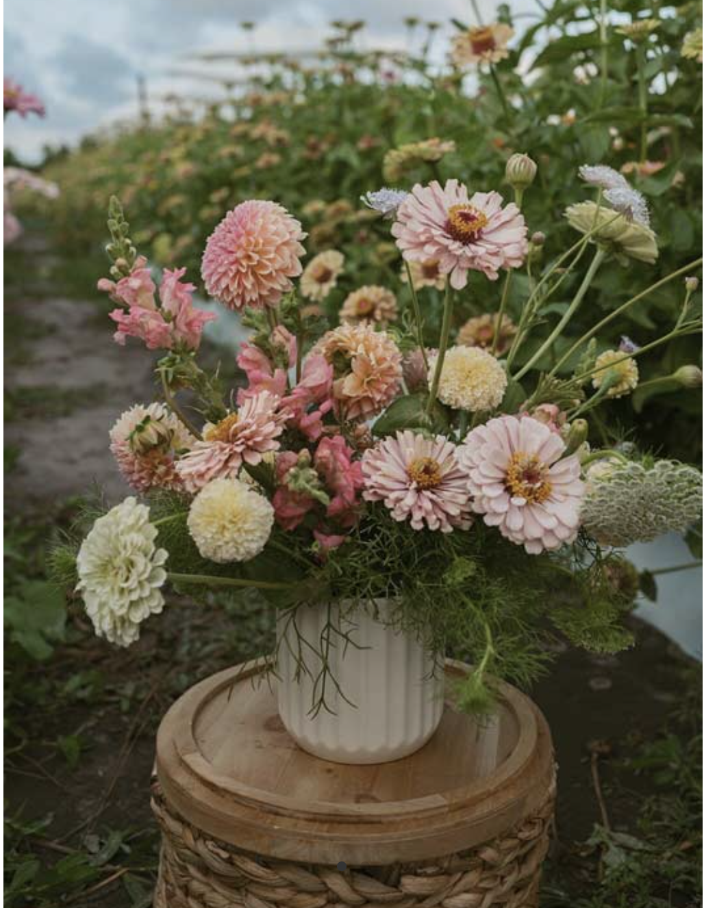 Wildflower Workshop at the Farm