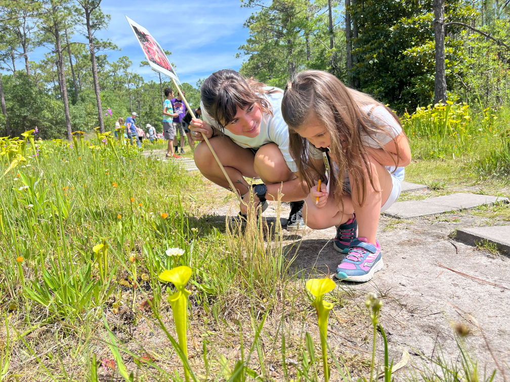 Flytrap Frolic