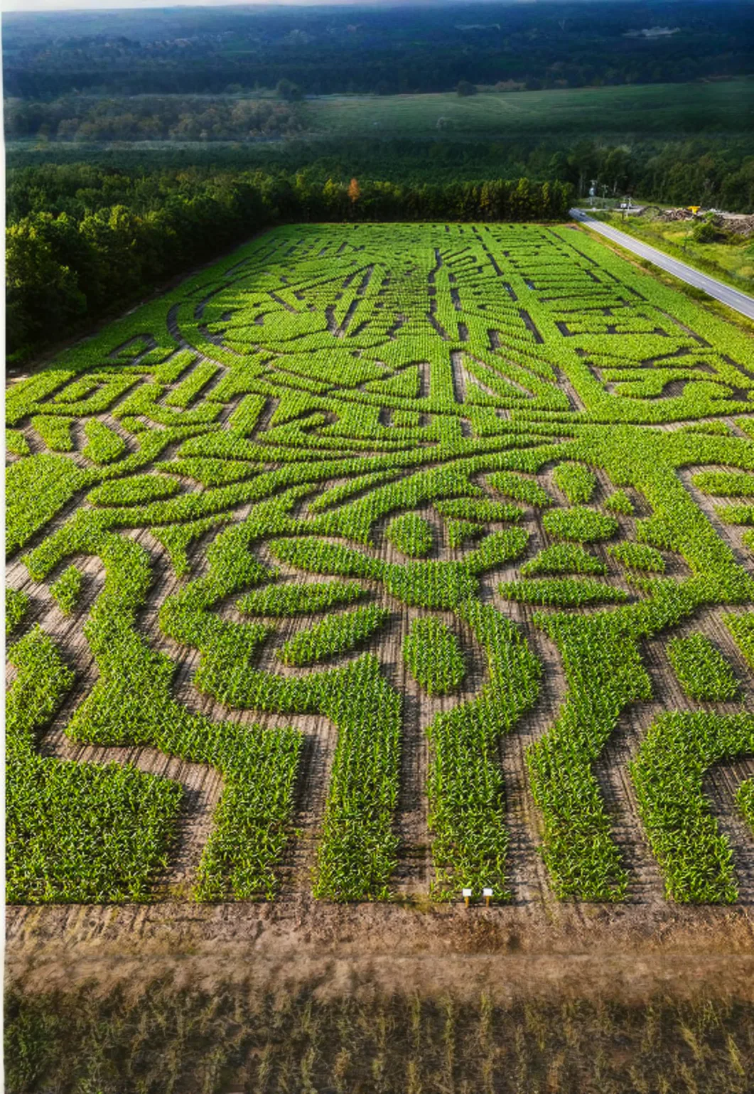 Wilmington's Largest Corn Maze, Pumpkin Patch, and U-Pick Flowers
