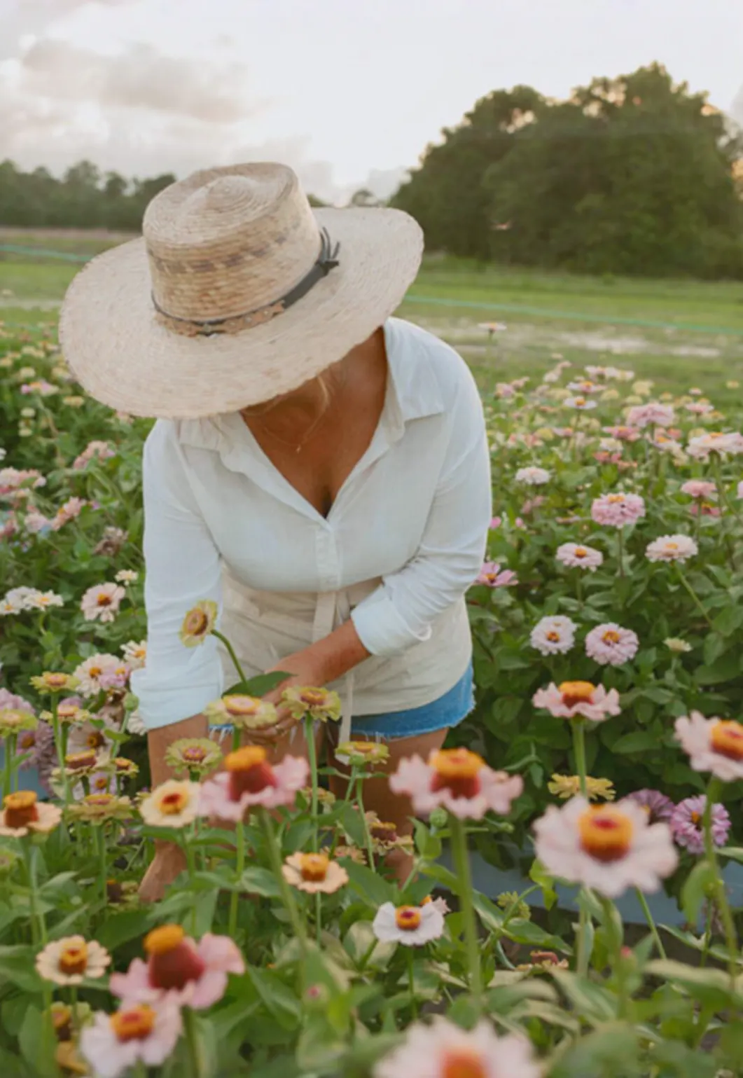 U-Pick Flowers and Sunflower Maze