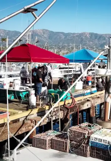 Saturday Fishermen's Market