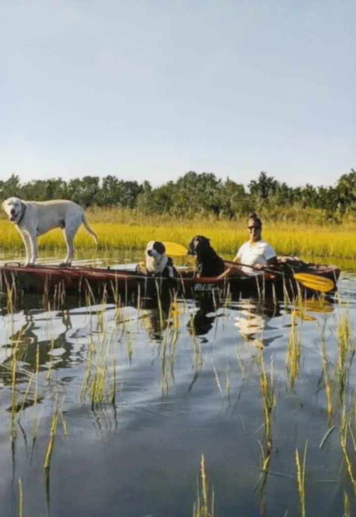Kayak Carolina - Tours and Rentals