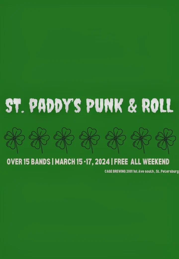 Punk & Roll - Music Festival
