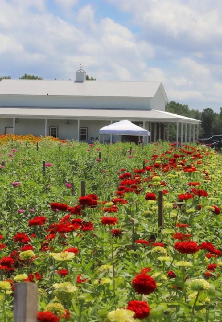 Trask Family Farm