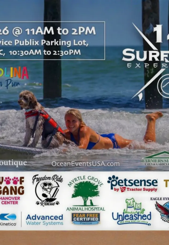 Surf Dog Experience