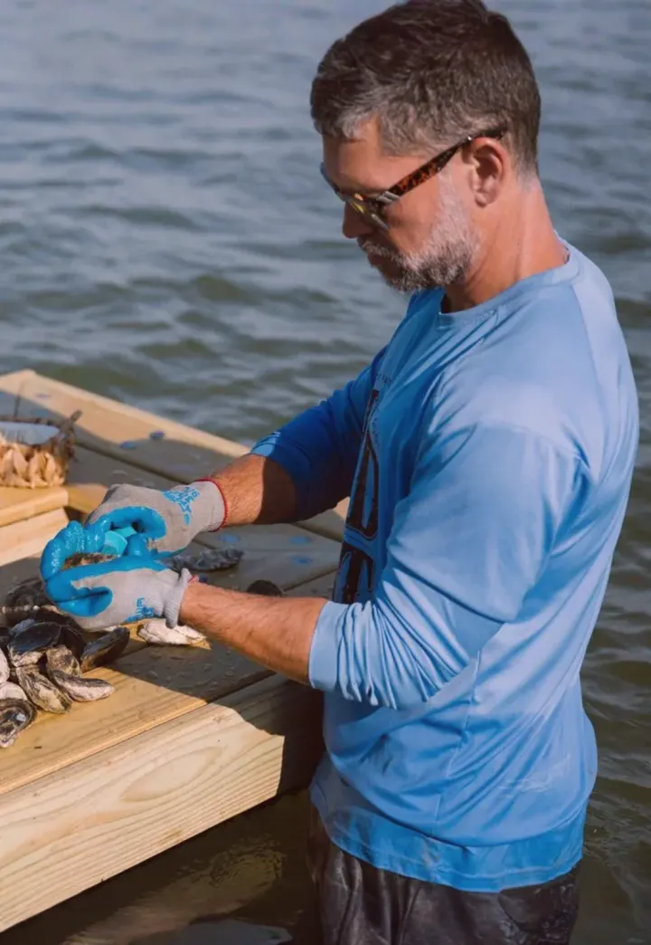 Oyster Eco Tour