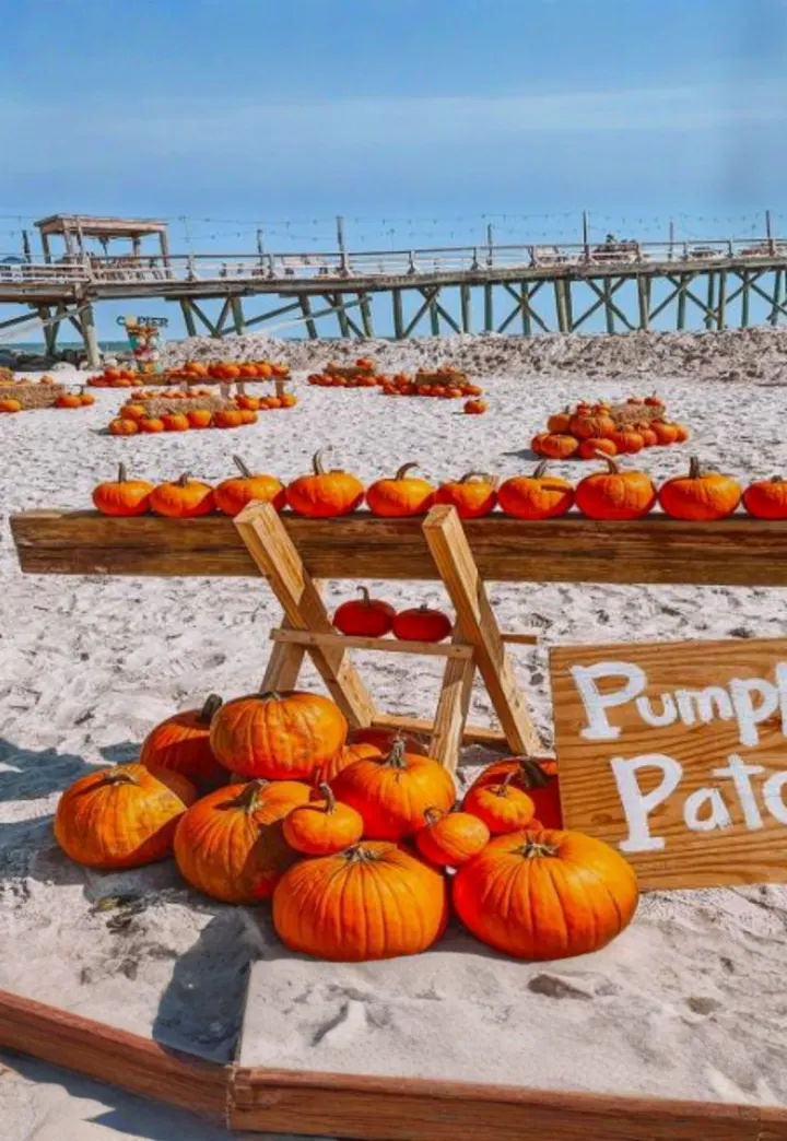 Carolina Beach Pier Pumpkin Patch