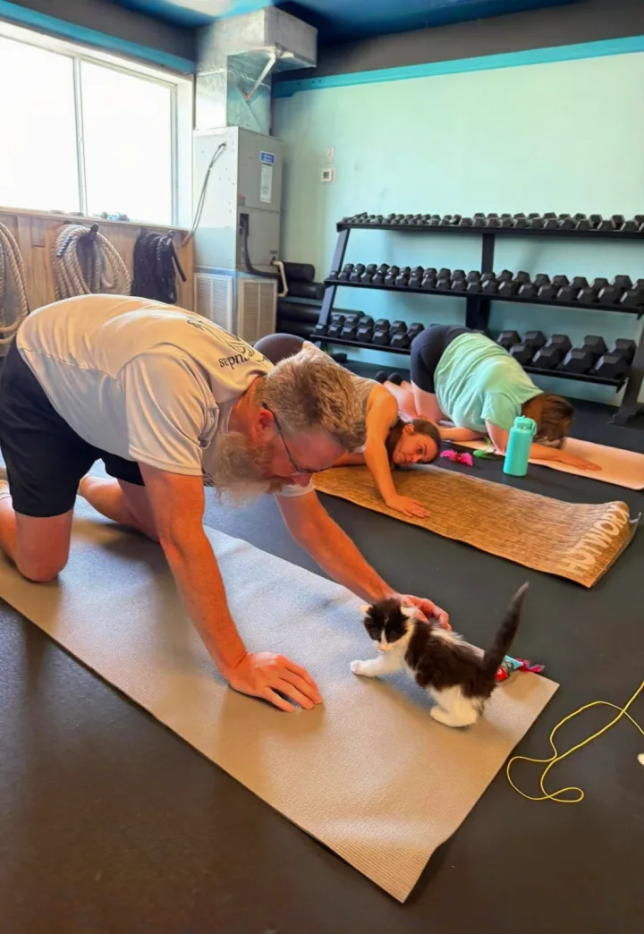Cat & Kitten Yoga