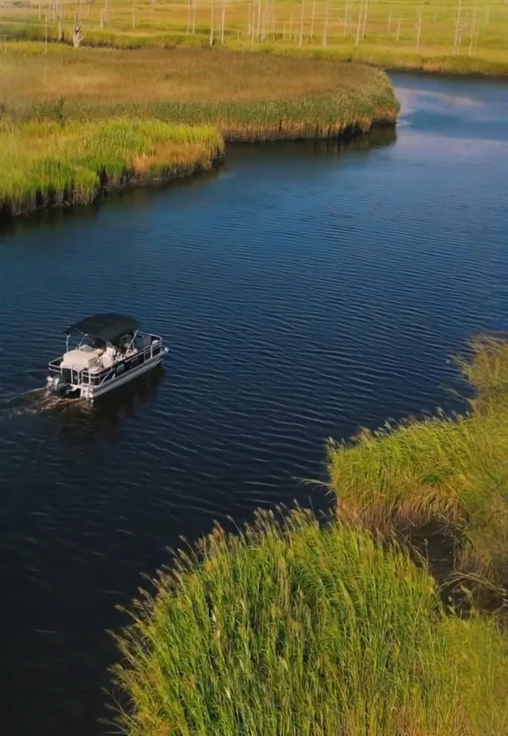 Cape Fear Boat Rentals