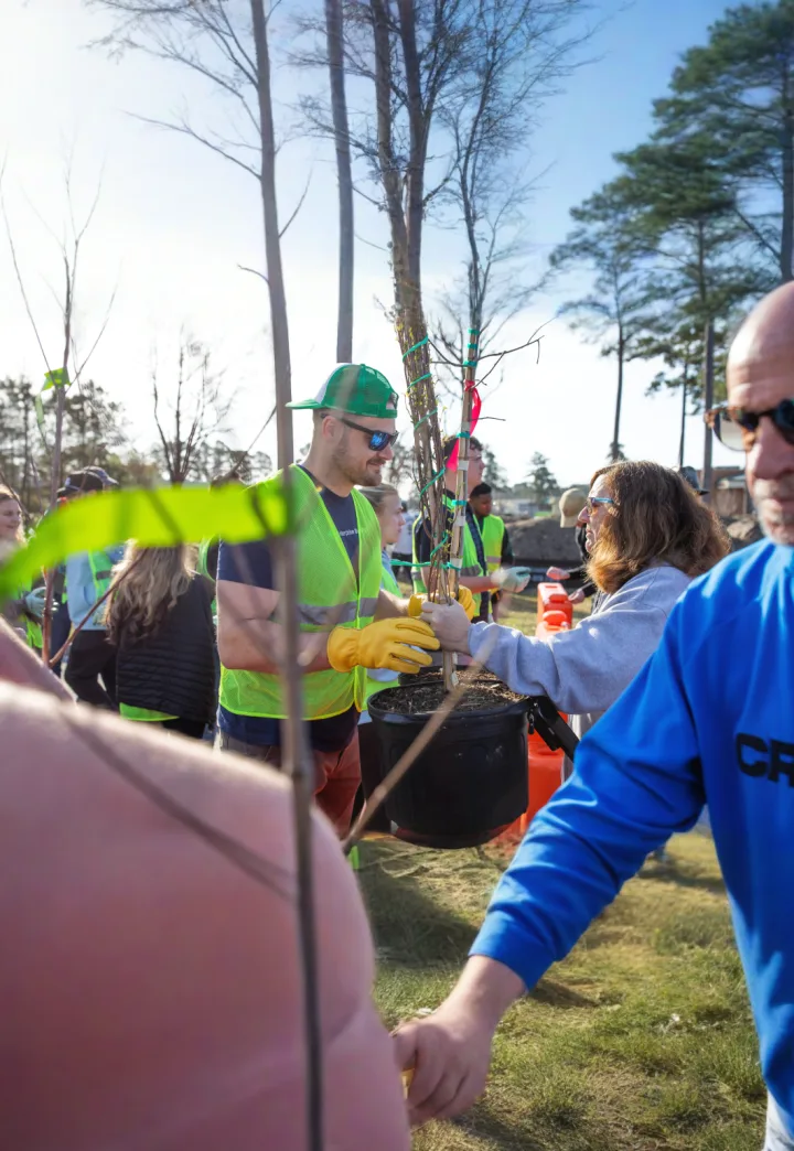 Free Murrayville Tree Giveaway