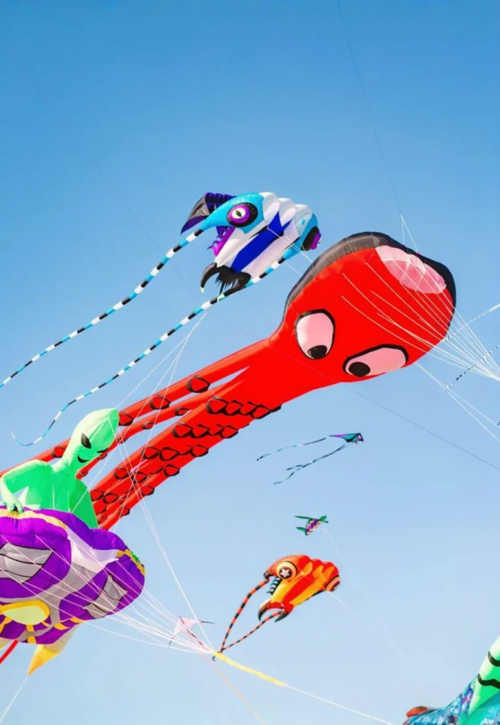 Cape Fear Kite Festival