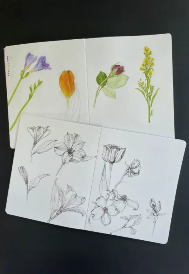 Illustrated Botanical Journals