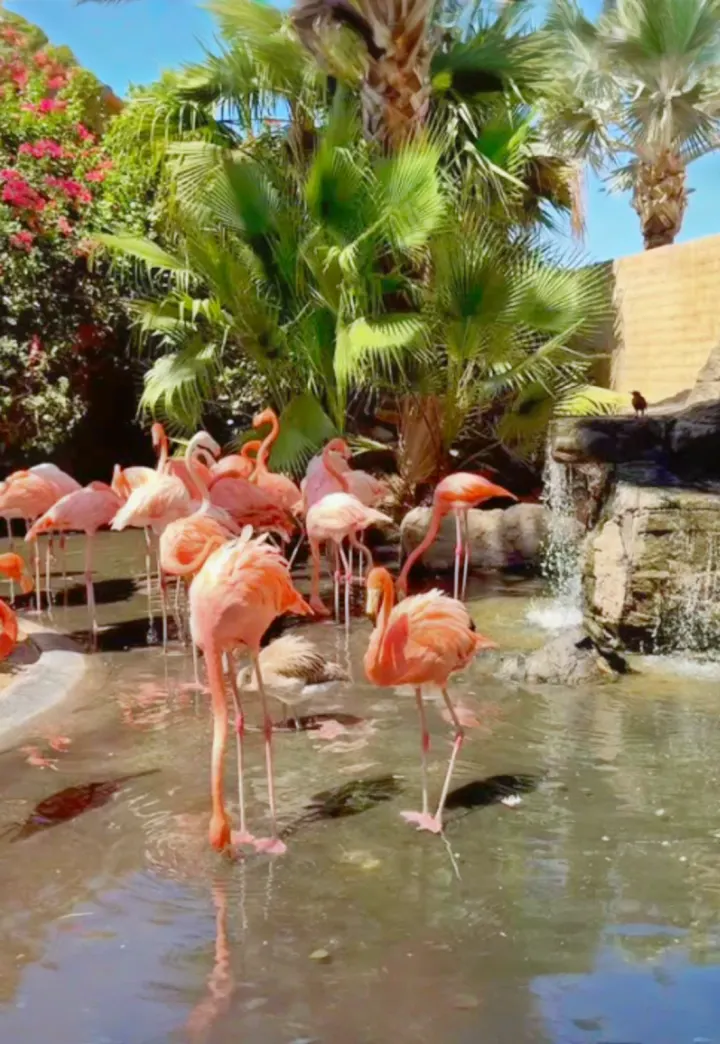 DJ Trivia at Dillon's @ The Wildlife World Zoo (Wednesdays)