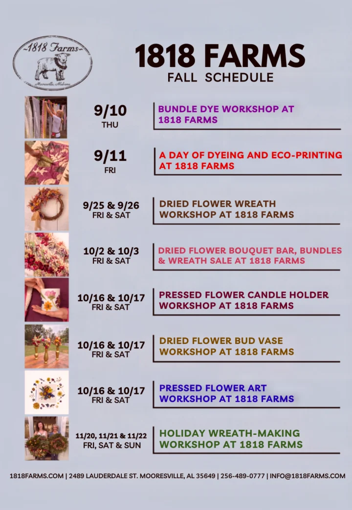 Dried Flower Bouquet Bar, Bundles & Wreath Sale at 1818 Farms