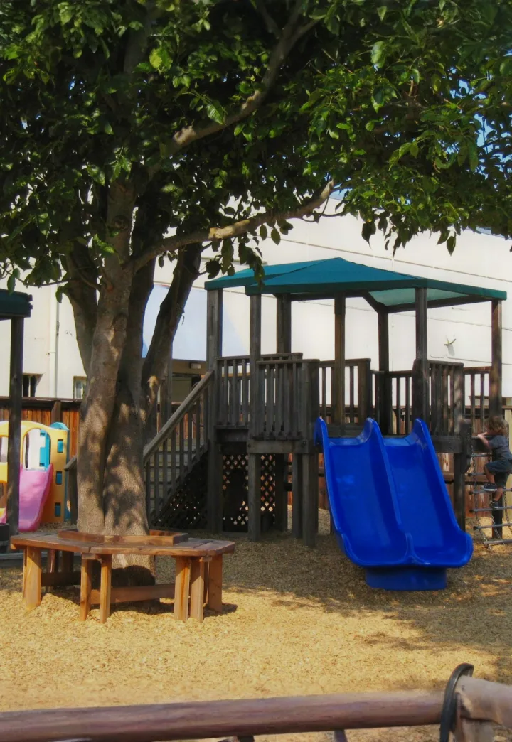 The Child Day Schools