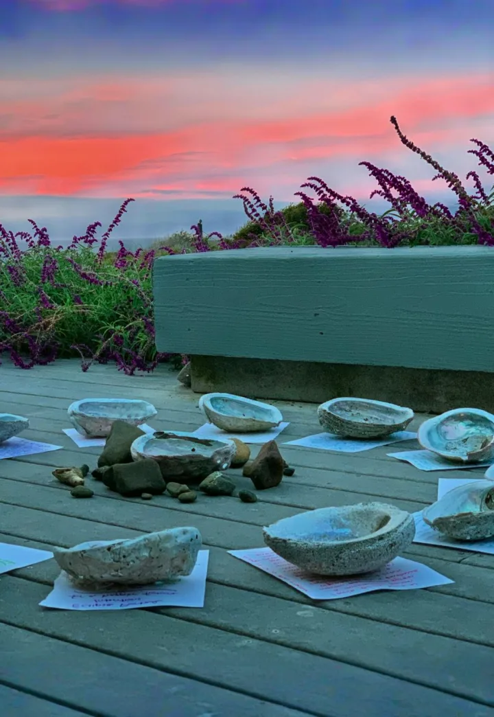 Collective Medicine Circle