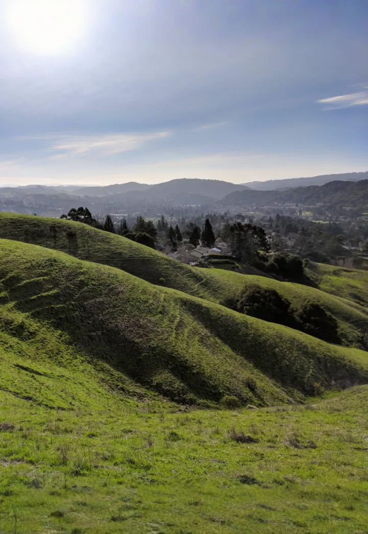 Orinda Oaks Park