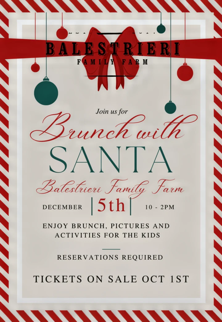 Santa Brunch in the Barn