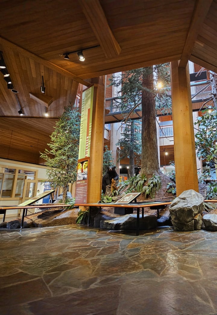 World Forestry Center