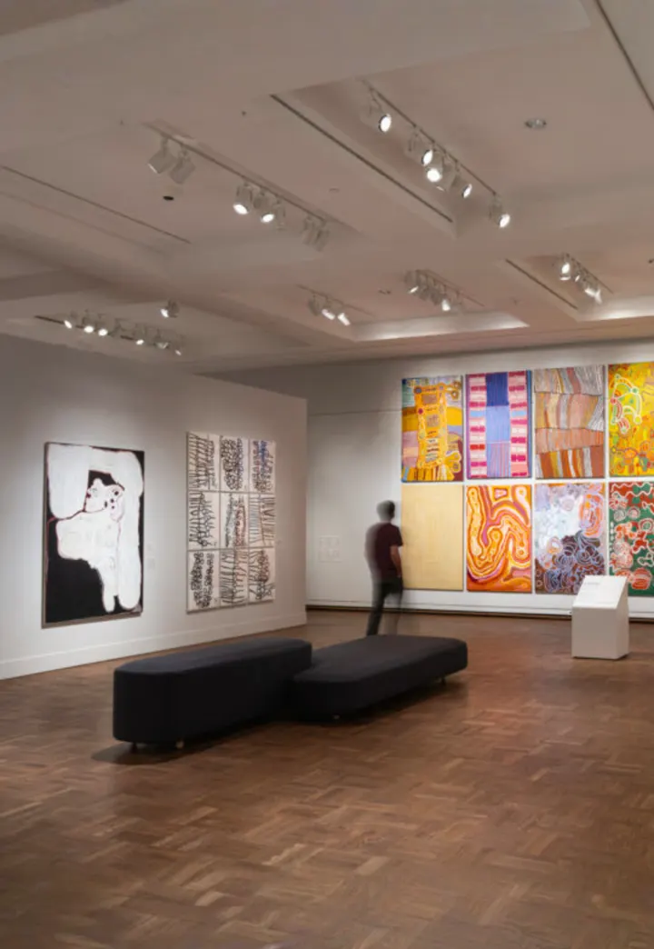 The Stars We Do Not See: Australian Indigenous Art