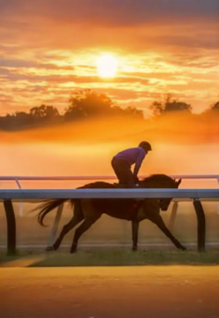 Breeders' Cup Watch Party