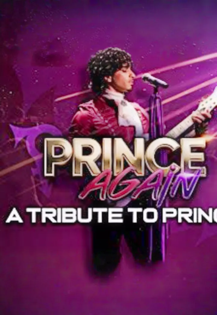 PRINCE AGAIN (Tribute to Prince)... LIVE at Retro Junkie!
