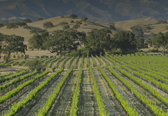Wineries