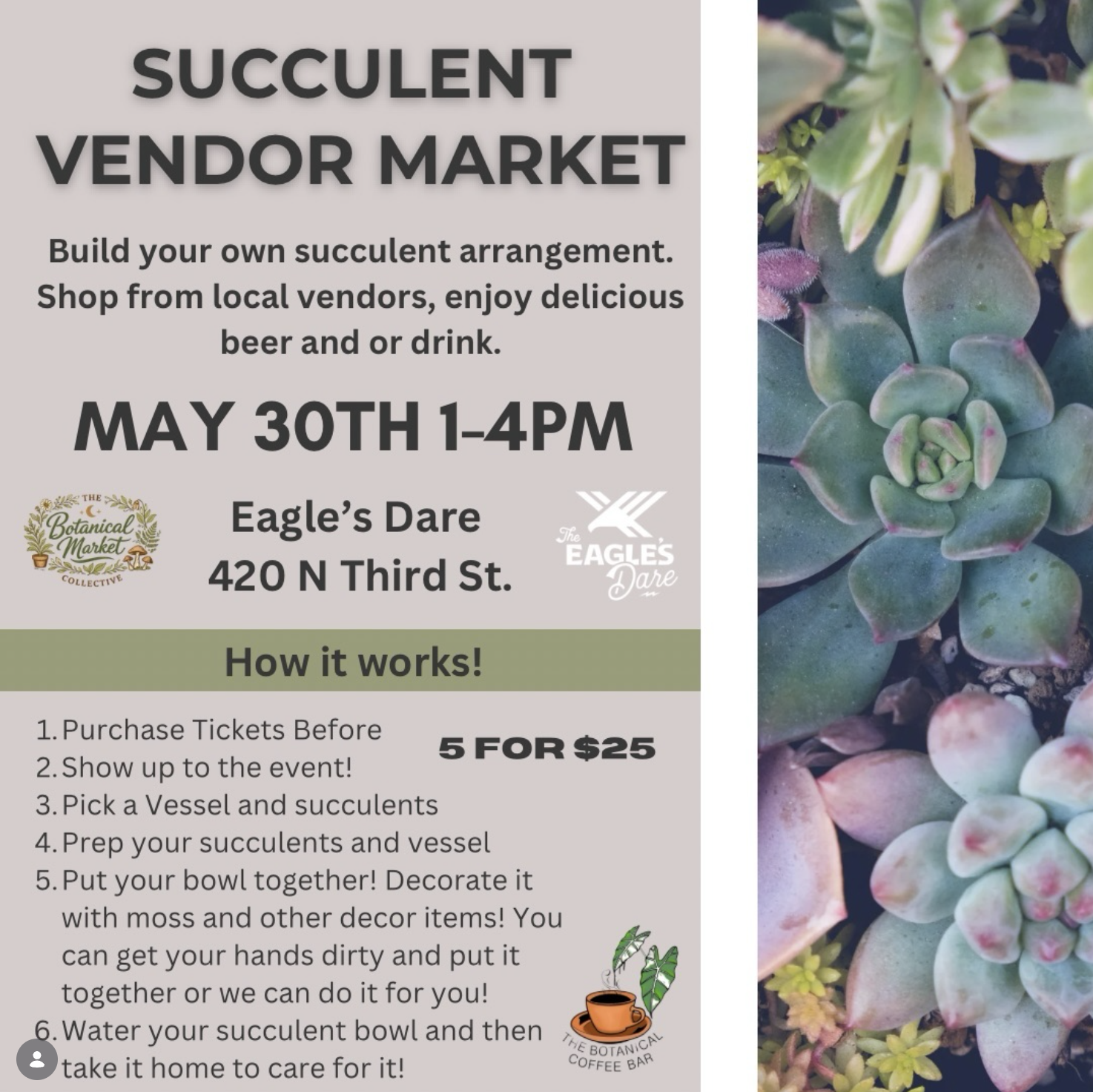 Succulent Vendor Market