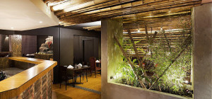 $29 All You Can Eat Curry at Buddah Bar Curry House