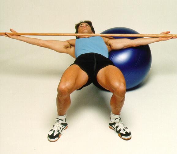 Why I Use the Swiss Ball Part 2 CHEK INSTITUTE