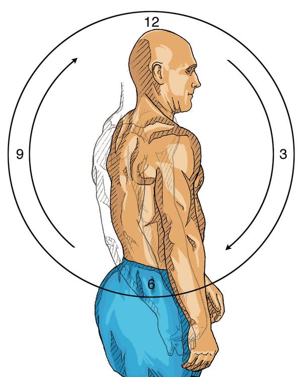 Zonal Exercise Zone Exercises For Balancing Stress And Building Vitality Part 1 - CHEK ...