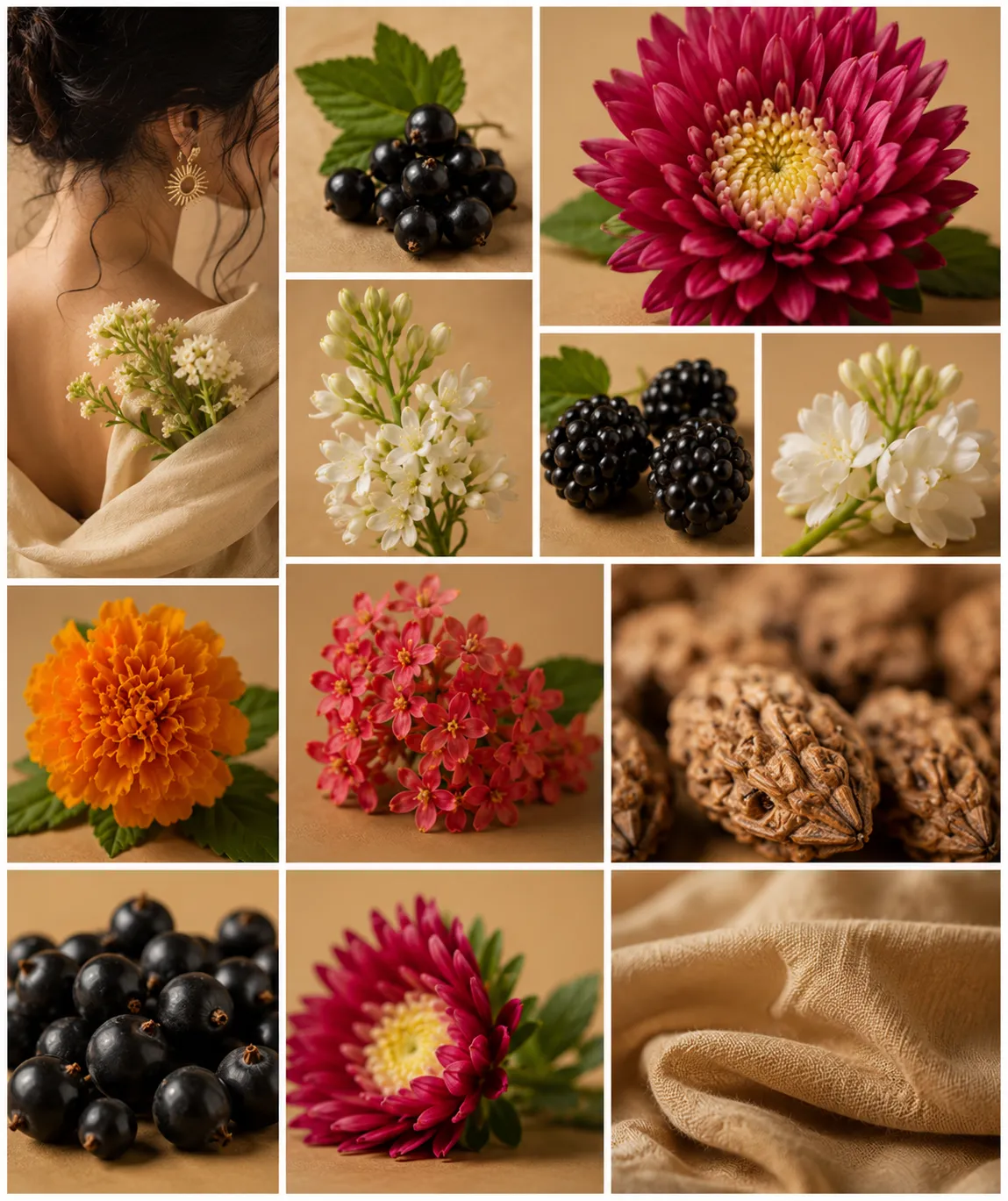 Fragrance Note