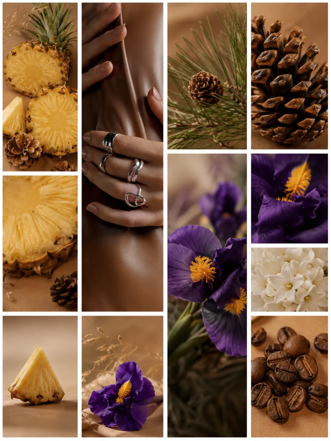 Fragrance Note