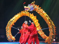 Вологда принимает Международный турнир по ушу: Лавров направил приветствие участникам