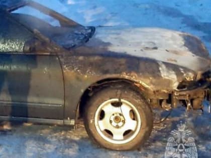 В Череповце сгорел гараж с автомобилем