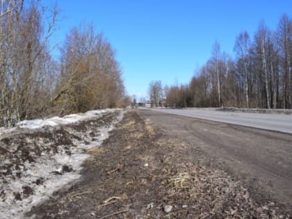 Кирилловчане продолжают голосовать  за объекты благоустройства