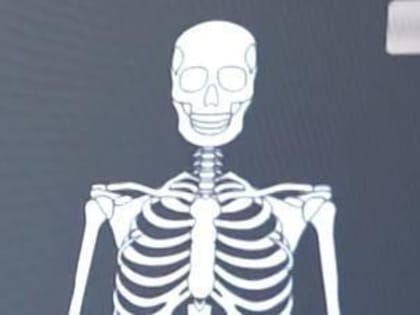 Новые инициативы в здравоохранении Вологды