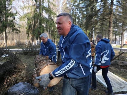 В Вологодской области – самые массовые вырубки лесов в России