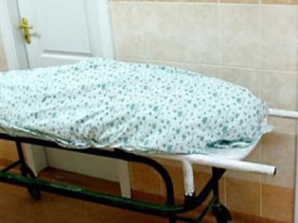 Несколько часов назад  украинские нацисты убили 12-летнюю россиянку Василису