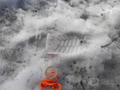 Волонтеры ПСО «Лиза Алерт» поделились подробностями поиска 76-летнего Владимира Грошева в Вологодском округе