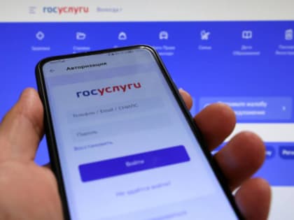 Электронные услуги в Вологодской области: рост популярности