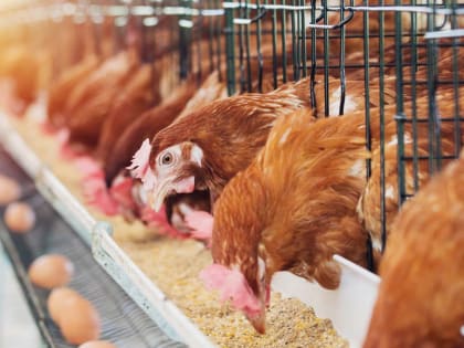 Хрупкая инфляция