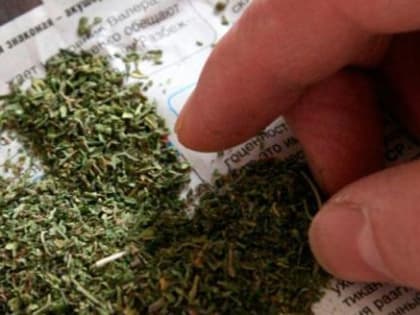 39-летний «ботаник-гидропоник» из Вологды попался по ст. 228 и с ним поступили так…