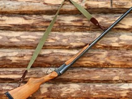 Стал известен приговор браконьеру из Междуреченского района