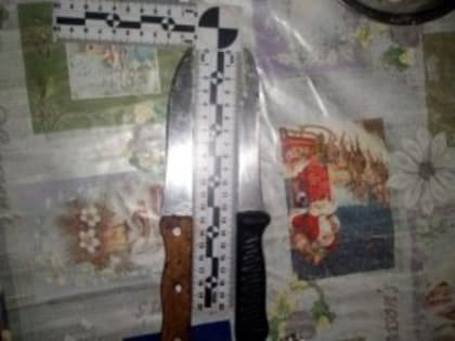 Стали известен приговор жительнице Грязовца, убившей своего сожителя