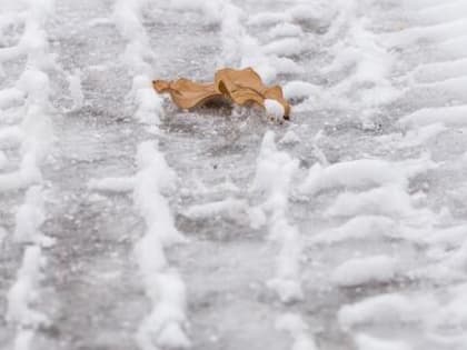 Череповчан ждет потепление и мокрый снег