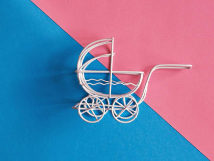 Обзор фирм-производителей детских колясок. Выбираем лучшую коляску для ребенка