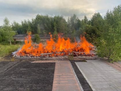 На Вологодчине локализовали очаг птичьего гриппа