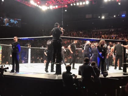 Волкановски стал новым чемпионом UFC 245