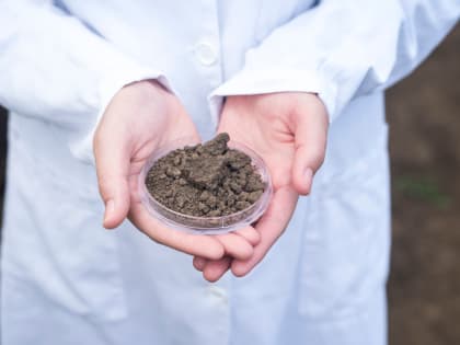 Когда необходимо сделать анализ почвы и как он проводится?